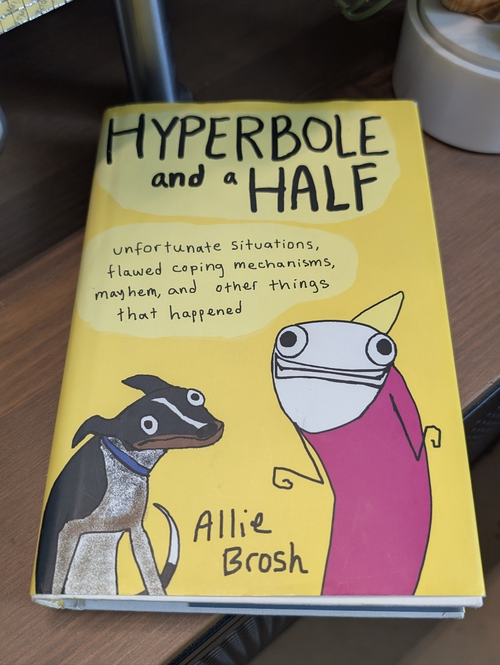 Hyperbole And A Half - Allie Brosh